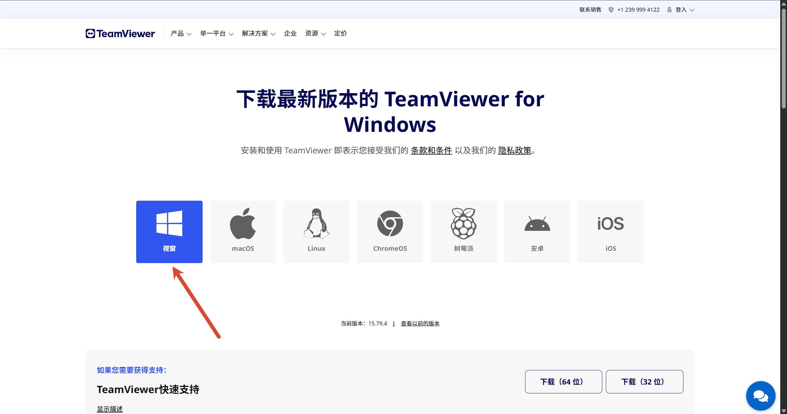 TeamViewer 下载页面